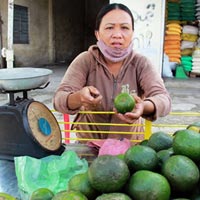 Tin Đà Nẵng - Cam Việt khốn đốn