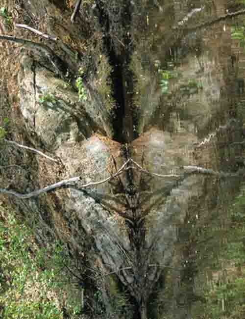 Khuôn mặt bí ẩn phản chiếu trên núi đá - 4