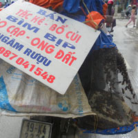 Tin tức trong ngày - “Thần dược” ầm ầm xuống phố