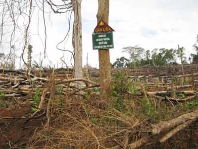 Lên đại ngàn tìm "quái vật bí hiểm nhất" - 2