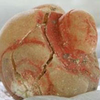 Phi thường - kỳ quặc - Phát hiện hài cốt nữ chiến binh Maya vỹ đại nhất