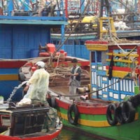 Tin tức trong ngày - Toàn bộ học sinh Bình Định nghỉ học tránh bão