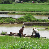 Tài chính - Bất động sản - Bi kịch nông dân bán hết đất ruộng