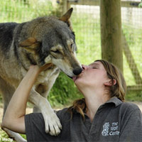 Phi thường - kỳ quặc - Cô gái làm đám cưới với "người sói"