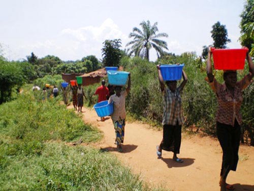 Congo: Nơi người dân uống bia thay nước - 1