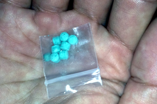 Thú "nướng tiền" tại quán bar - 2