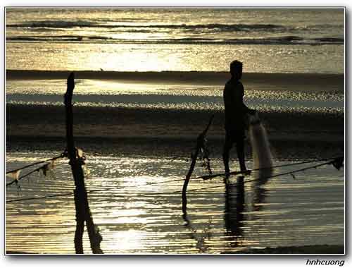 Hoang sơ biển Ba Động - 4