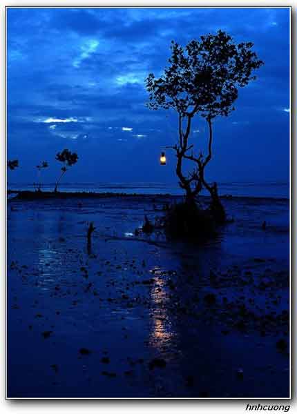 Hoang sơ biển Ba Động - 5