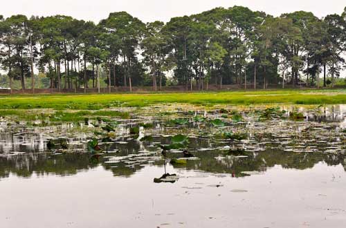 Hoang sơ biển Ba Động - 11