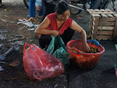 "Hô biến" hoa quả thối thành sinh tố - 3