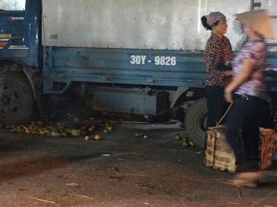 "Hô biến" hoa quả thối thành sinh tố - 4