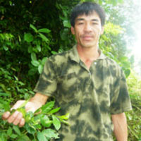 Sức khỏe đời sống - 7 chiếc lá bí truyền trị rắn độc cắn