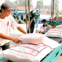 Thị trường - Tiêu dùng - Doanh nghiệp xuất khẩu bán tháo gạo