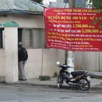 Tin tức trong ngày - Tẩy chay lao động: Đừng để quýt làm cam chịu