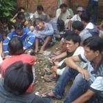 Cần Thơ: Phá trường gà, bắt 21 đối tượng