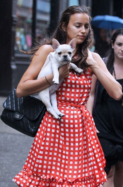 Ngắm cún cưng dễ thương của các siêu mẫu - 10