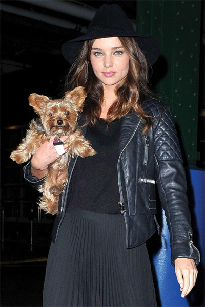 Ngắm cún cưng dễ thương của các siêu mẫu - 2