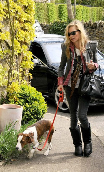 Ngắm cún cưng dễ thương của các siêu mẫu - 3