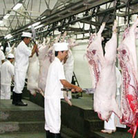 Thị trường - Tiêu dùng - TP.HCM: Trọng điểm tuồn thịt "bẩn"