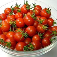 Sức khỏe đời sống - Ăn cà chua giảm nguy cơ đột quỵ