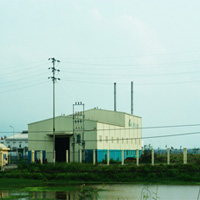 Thị trường - Tiêu dùng - Trồng sắn ethanol: Sự đổ vỡ được báo trước