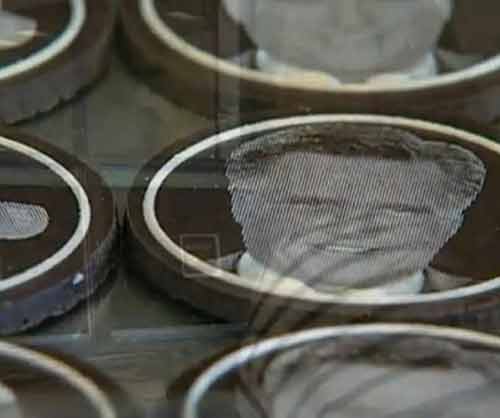 Pháp: Dự đoán tổng thống Mỹ bằng sô-cô-la - 1