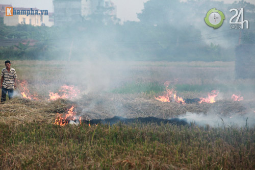 Hà Nội lại mịt mù khói rơm - 10