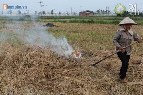 Hà Nội lại mịt mù khói rơm - 6