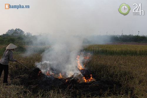 Hà Nội lại mịt mù khói rơm - 7