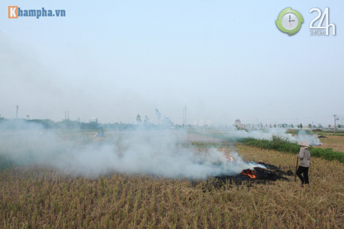Hà Nội lại mịt mù khói rơm - 8