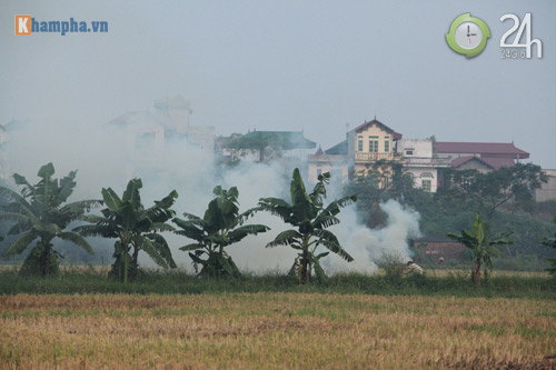 Hà Nội lại mịt mù khói rơm - 5