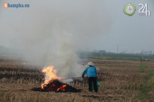 Hà Nội lại mịt mù khói rơm - 9