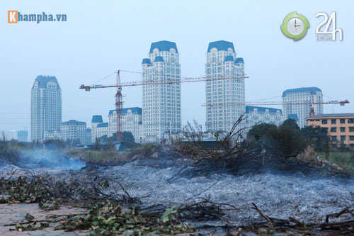 Hà Nội lại mịt mù khói rơm - 4