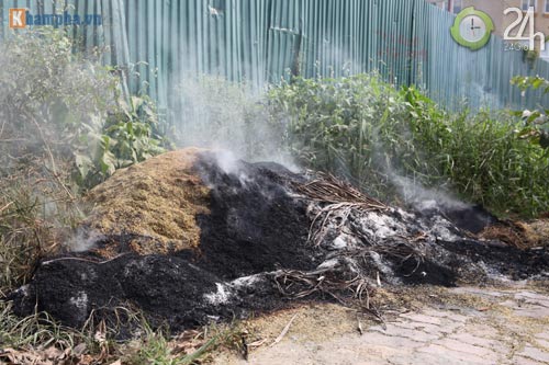 Hà Nội lại mịt mù khói rơm - 3