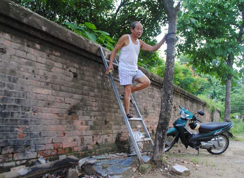 Nhà tạm, vườn rau "mọc" trên… đất di sản - 2