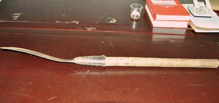 Kịch bản tàn độc của ả người làm - 2