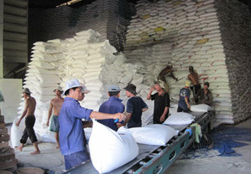 Gạo Việt đang tự làm mất thị trường - 1