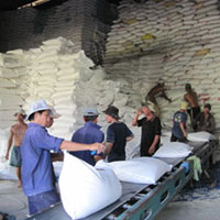 Thị trường - Tiêu dùng - Gạo Việt đang tự làm mất thị trường