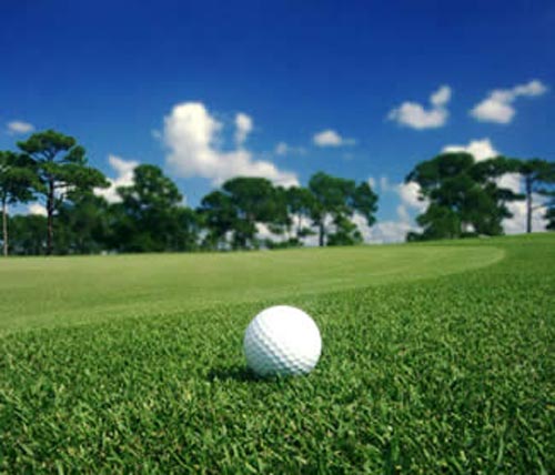 Ký sự một ngày trên sân golf (Kỳ 1) - 2