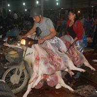 Sức khỏe đời sống - Vệ sinh thực phẩm: “Sờ” đâu cũng vi phạm!