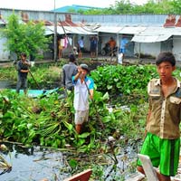 Tin tức trong ngày - "Truy nã" 6 con cá sấu sổng chuồng cuối cùng