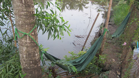 TPHCM những ngày phải... đi trên tường - 12