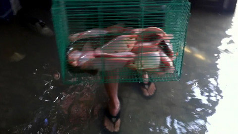 TPHCM những ngày phải... đi trên tường - 8