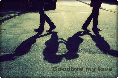 Thư tình: Tôi nhớ một người không nhớ tôi - 1