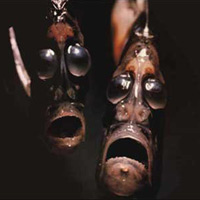 Phi thường - kỳ quặc - Lạnh gáy vì 13 sinh vật "siêu dị"