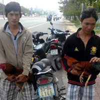 Pháp luật - Cướp hối lộ “hiệp sĩ”