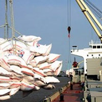 Thị trường - Tiêu dùng - Gạo tăng giá nhờ tin bán cho Indonesia