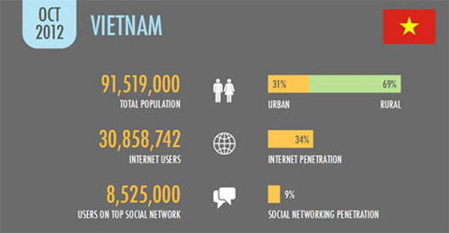 30,8 triệu người Việt Nam sử dụng Internet - 1