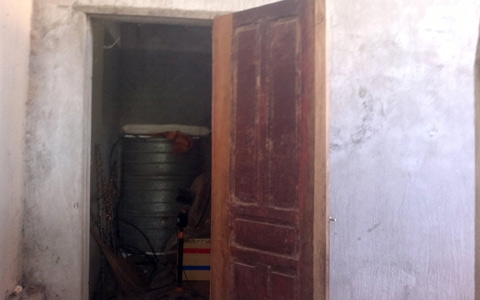 Cận cảnh đàn hổ sống giữa khu dân cư - 2