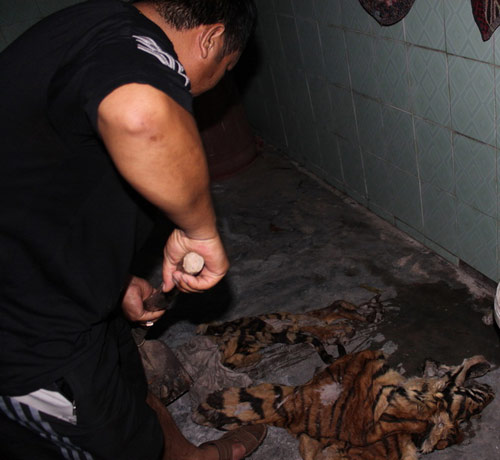 Thâm nhập "hang hùm" tại gia - 3